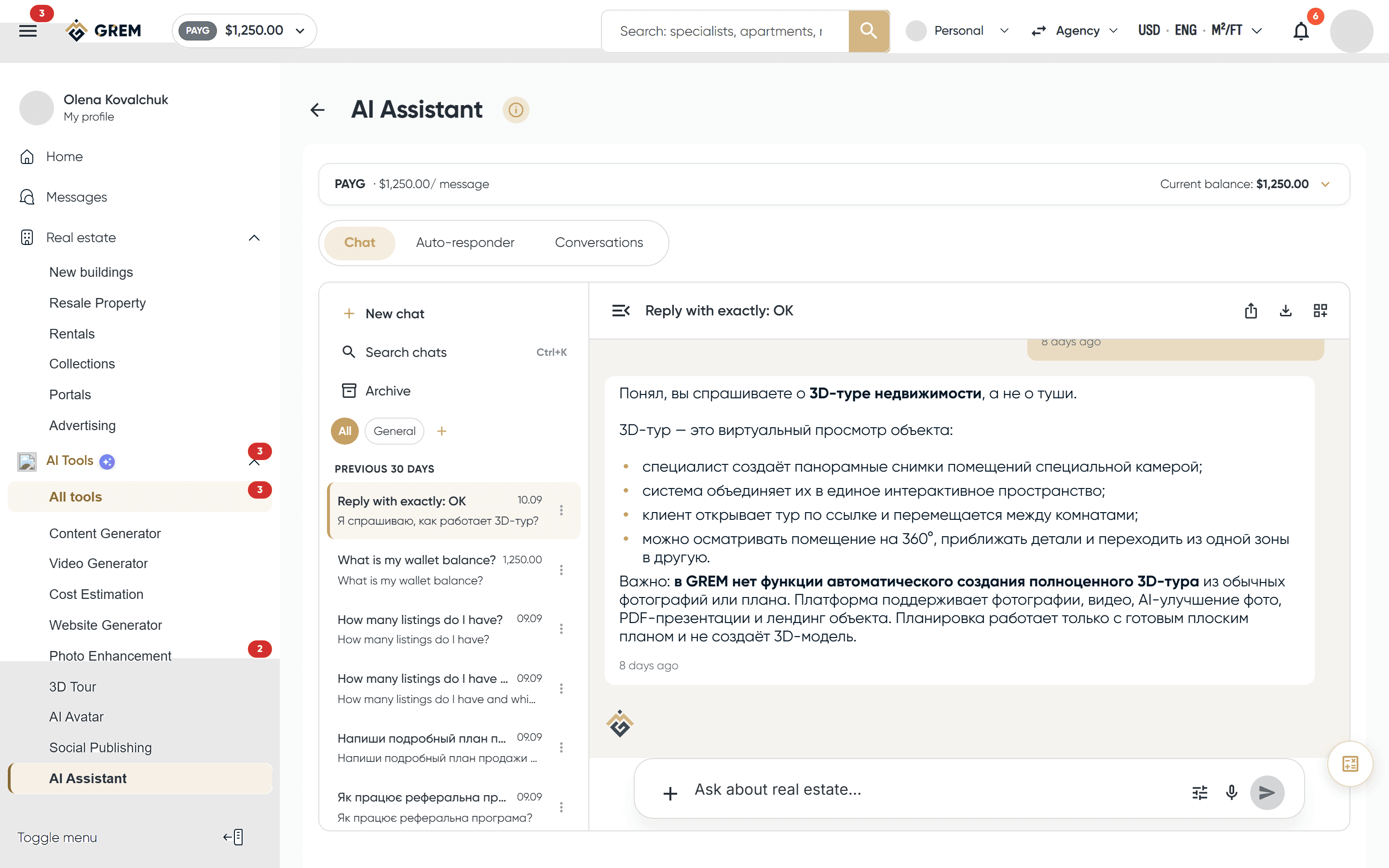 AI chat assistant interface