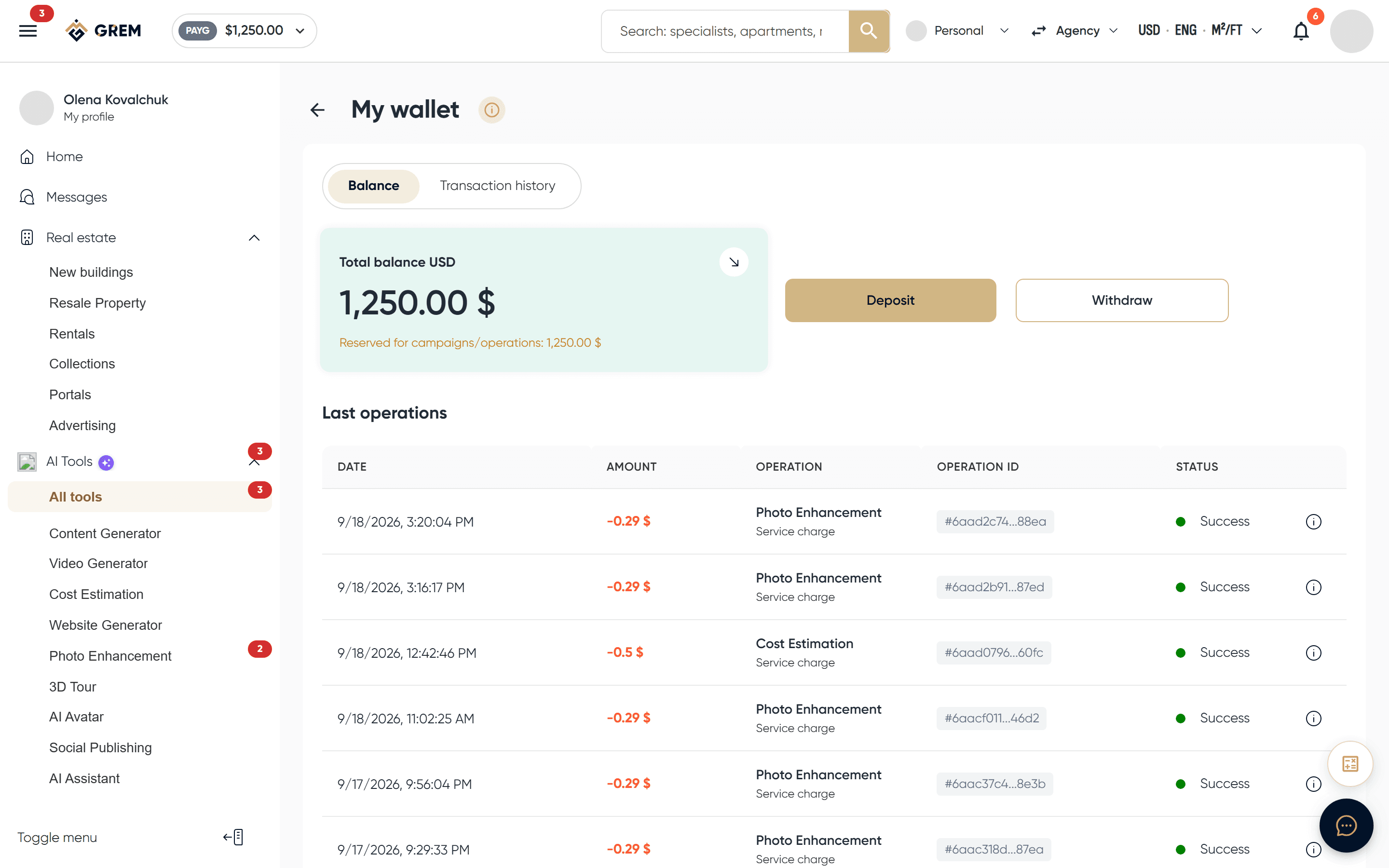 Wallet dashboard with balance